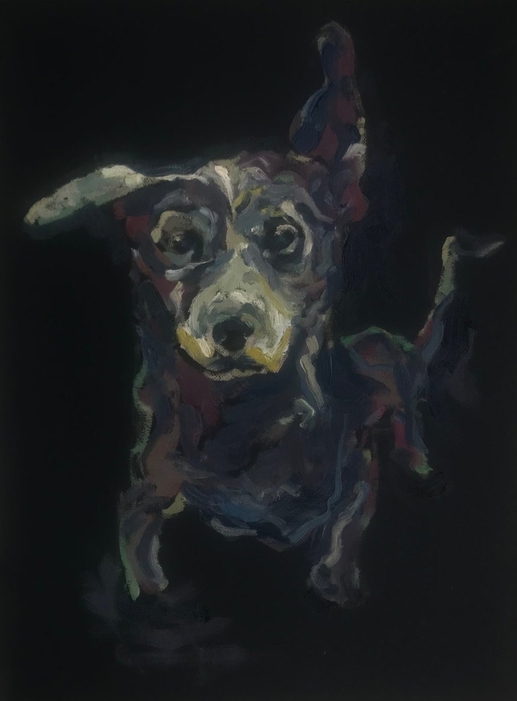 Dog in a shelter by Lina Mikuzyte