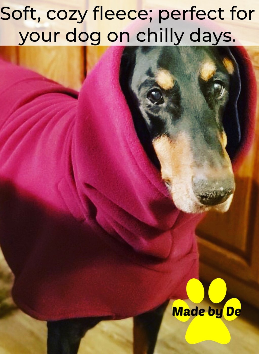 A Doberman Pinscher wearing a cozy burgundy fleece dog for cold weather comfort.