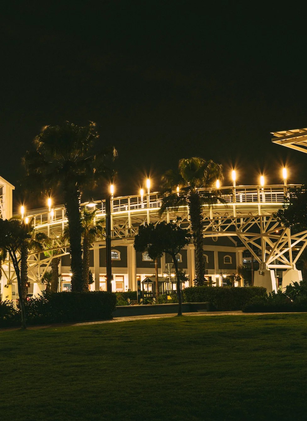 Illuminated white bridge and palm trees at night in a coastal city park with grass.