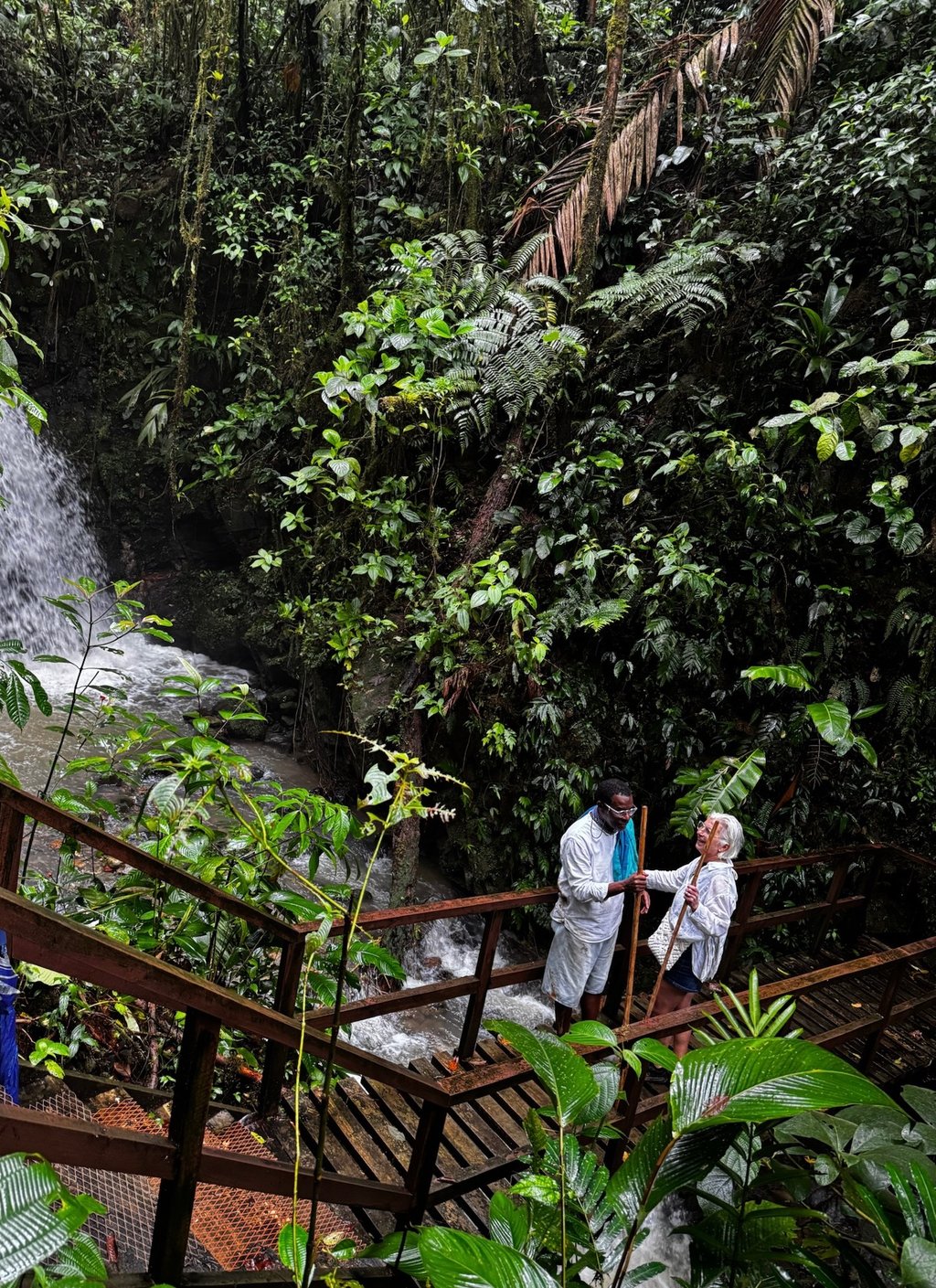 Couple enjoying a scenic jungle hike through the tropical rainforest of Santa Fe, Panama."