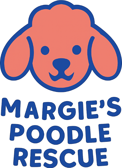 Margie's mini poodle and toy poodle rescue