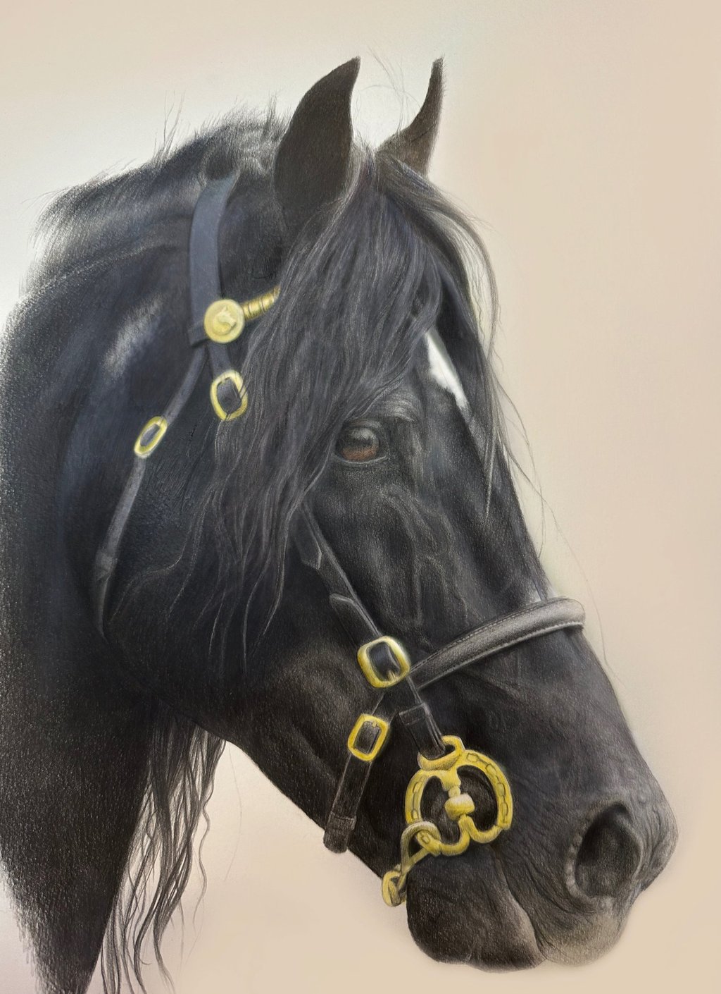 horse, show, tack, show tack, equestrian art horse portrait, 