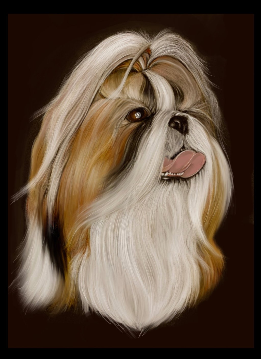Shih Tzu dog art pet portrait show dog pencil art
