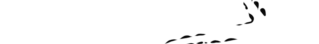 Chael Crocodile Logo