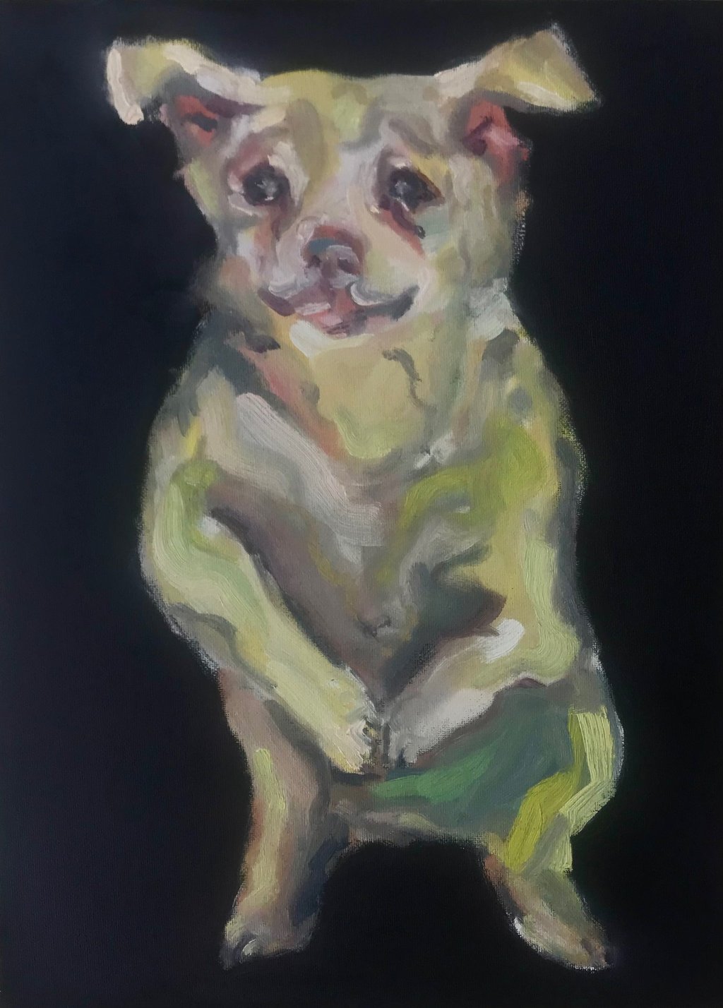 Dog in a shelter by Lina Mikuzyte