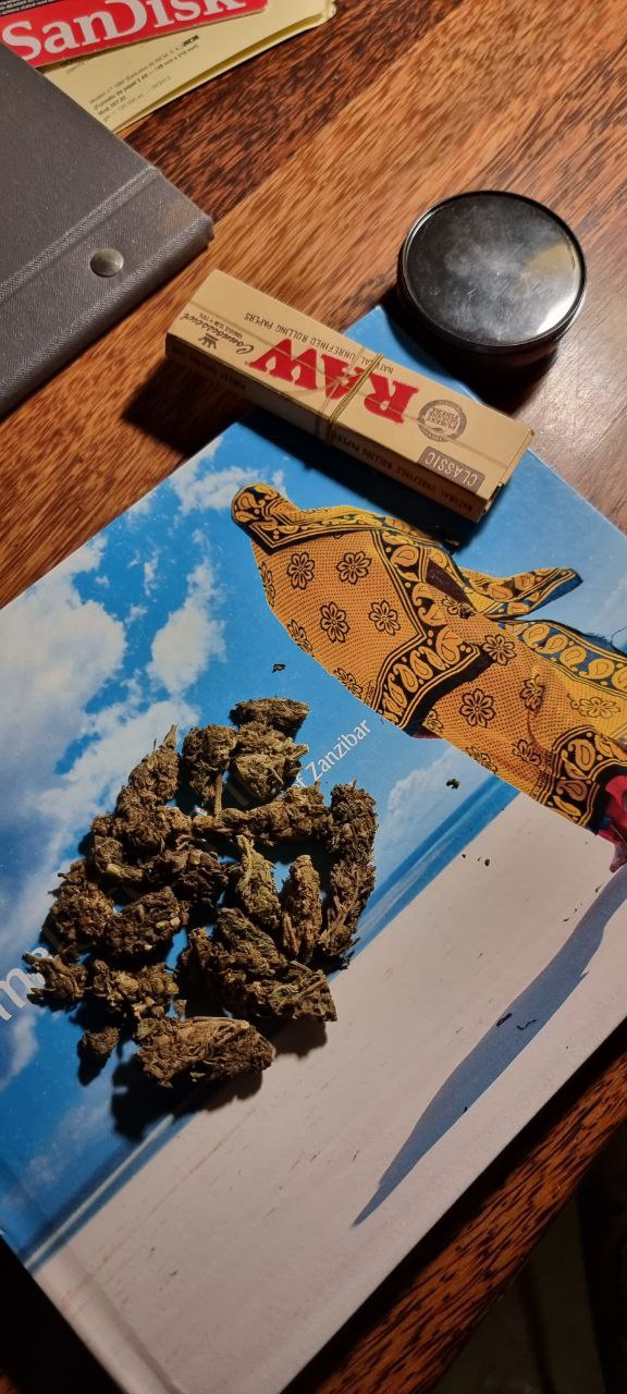 Weed in Zanzibar 2026
