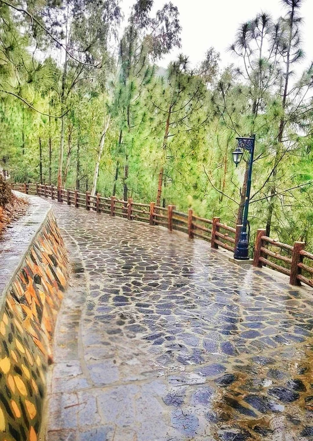 Shimla hill Abbottabad track