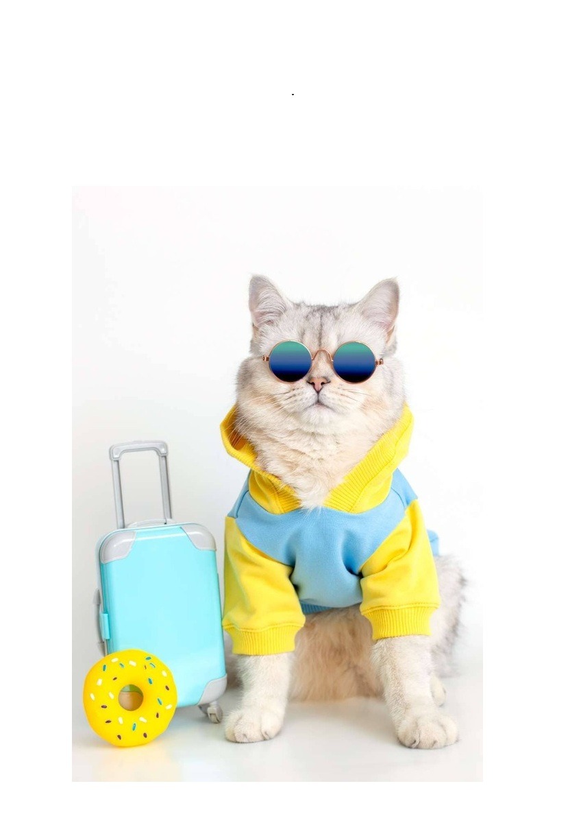Un gato peludo con gafas de sol y una sudadera con capucha junto a una maleta de viaje azul.