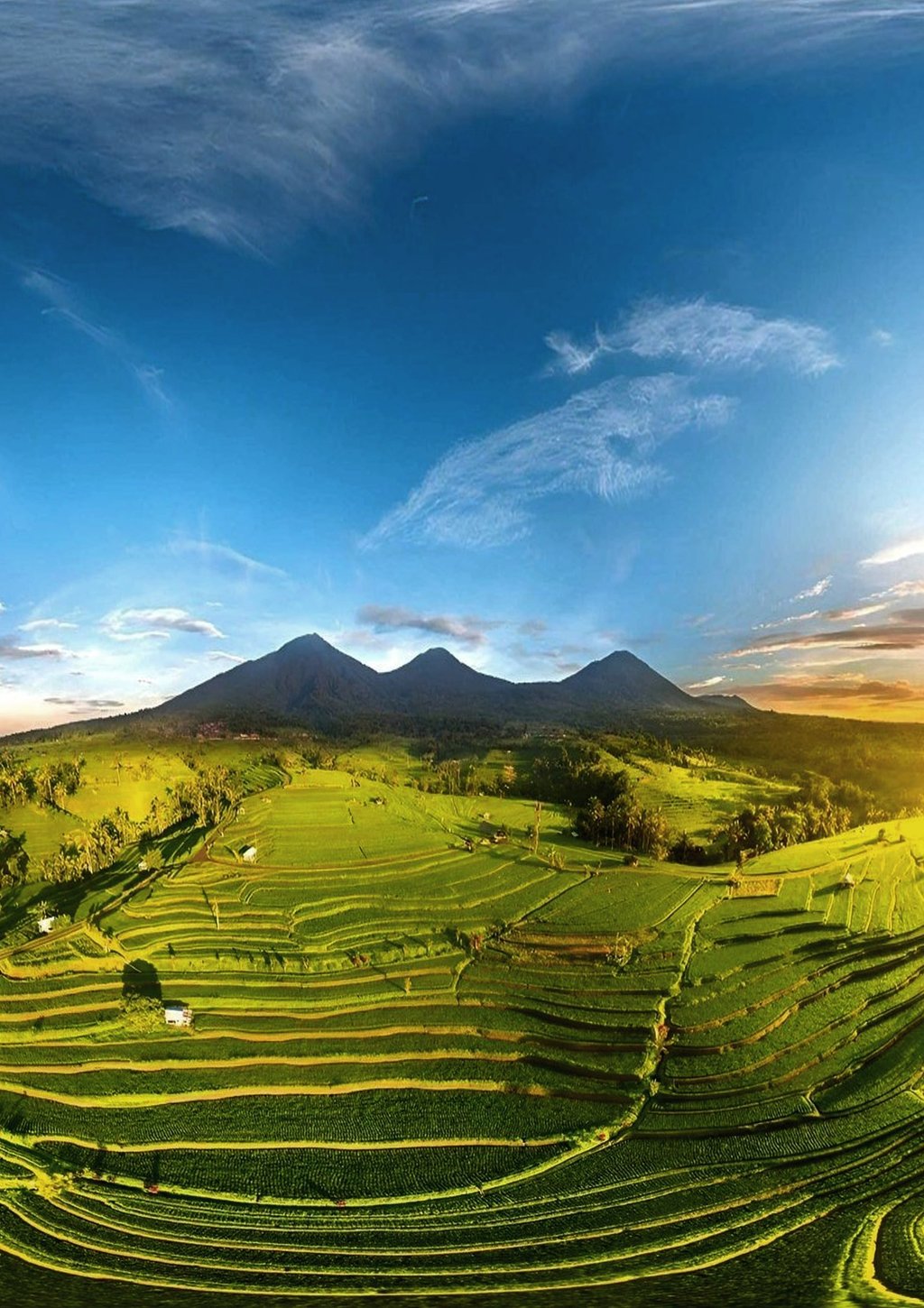 Jatiluwih Bali