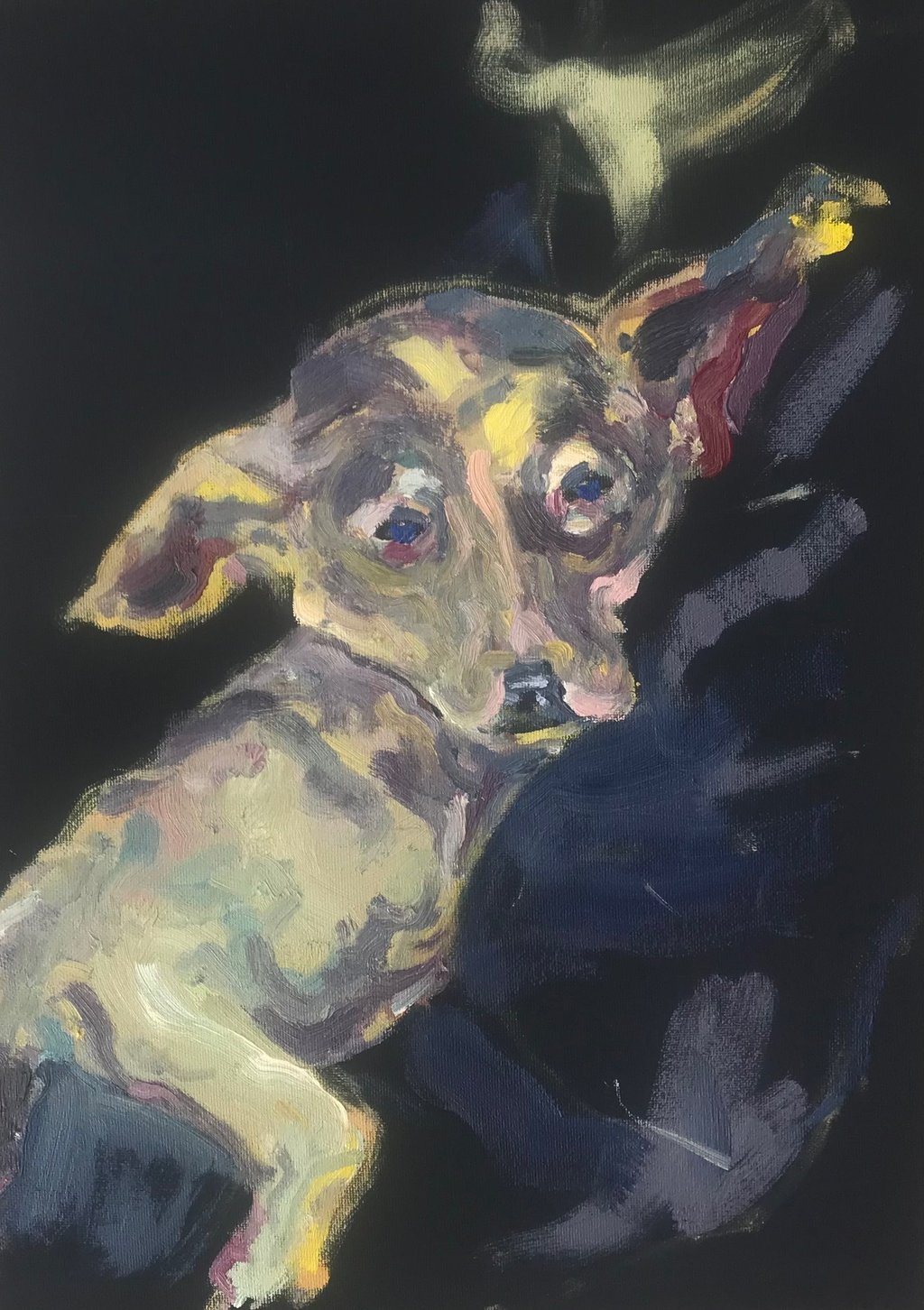 Dog in a shelter by Lina Mikuzyte