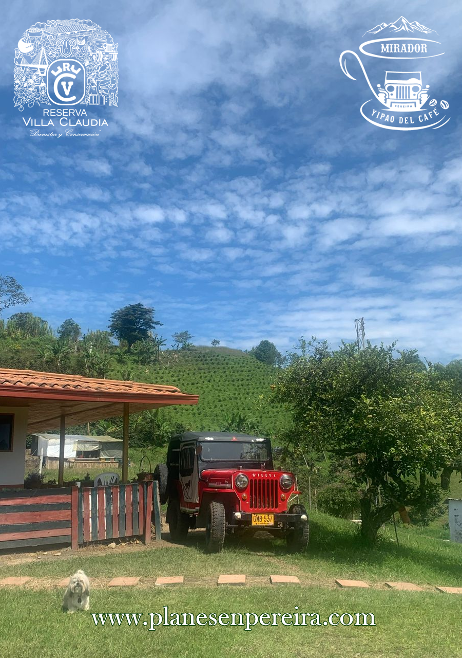tours por pereira
