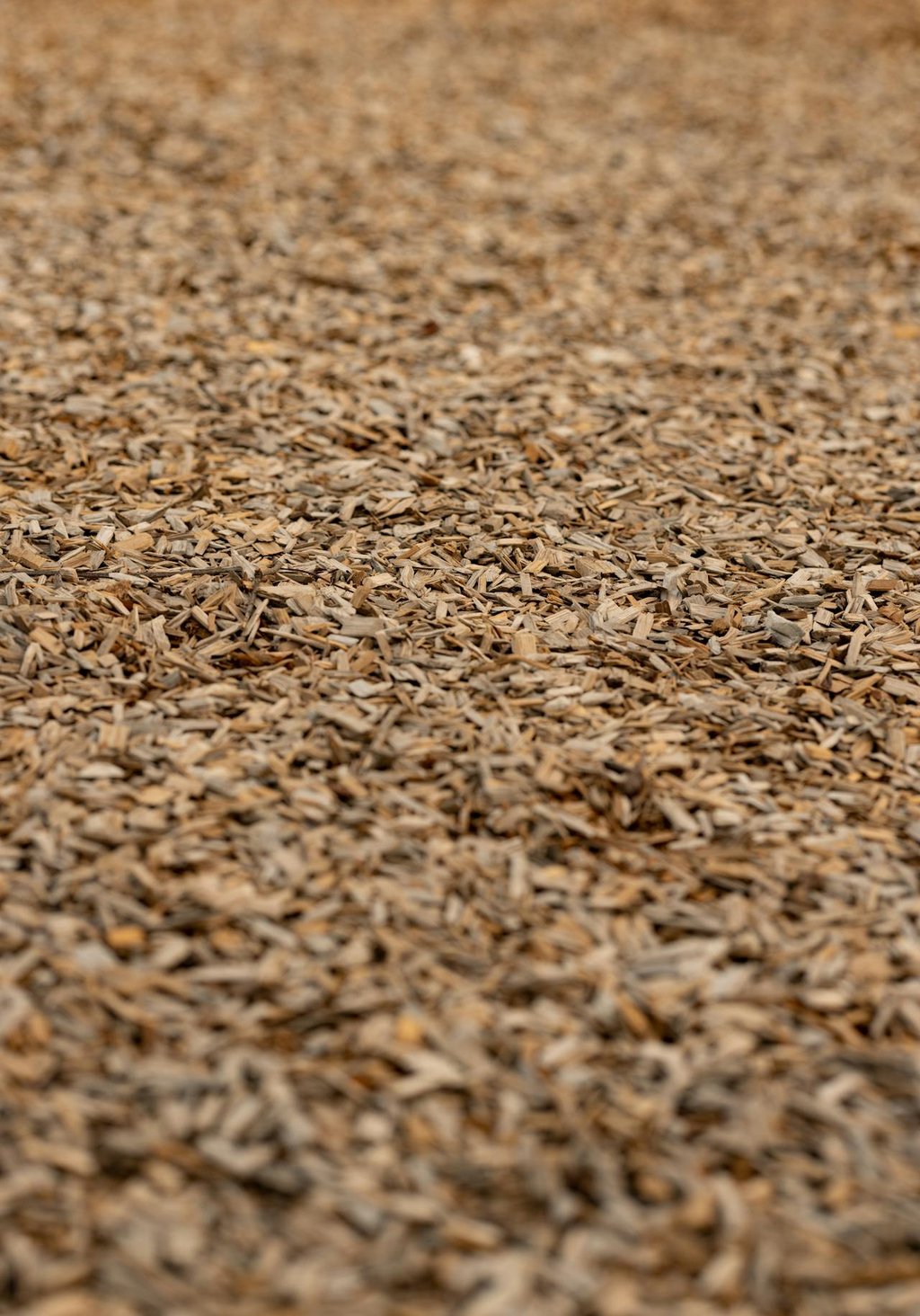 mulch with a light color