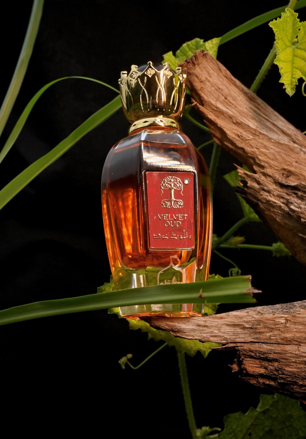 Portfolio of food, e-commerce & fashion brand photography by The Gravids