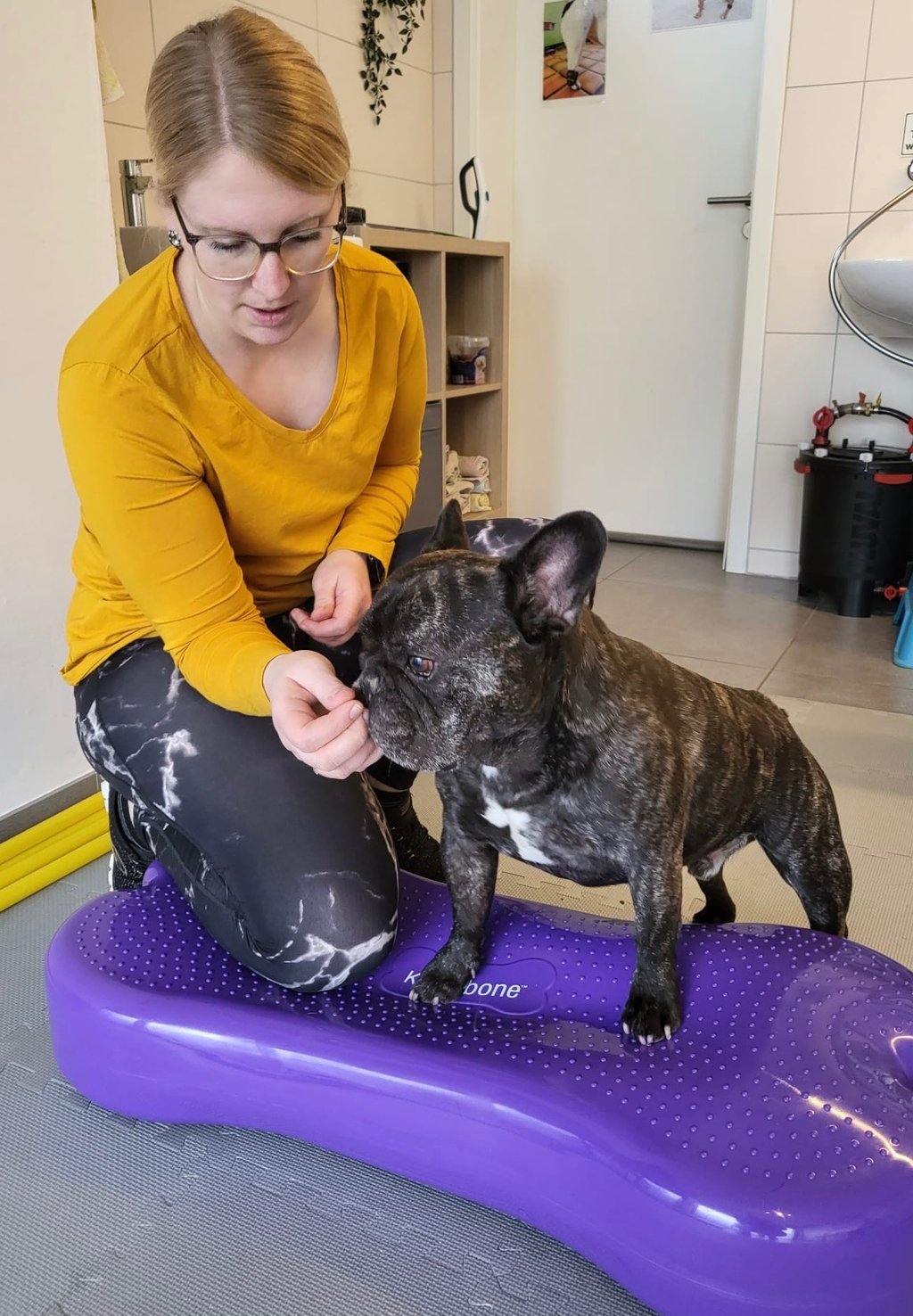a woman is petting a dog on a purple toy
