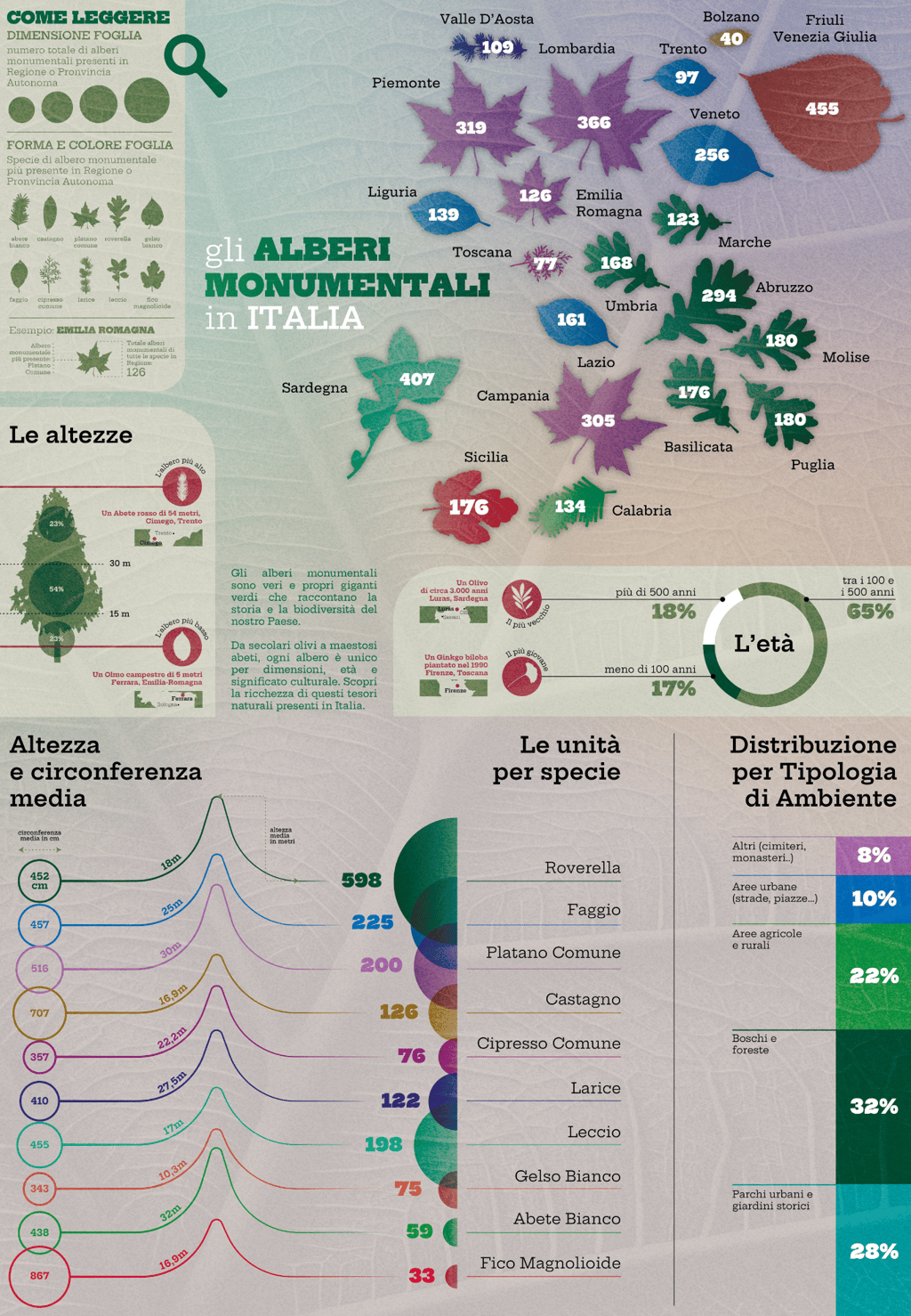 Data Visualization Infografia Infographic Design Milan Recife