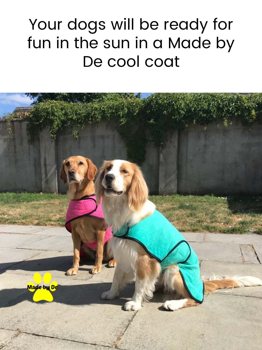 Two dogs wearing pink and teal Made by De cooling coats while sitting outside on a sunny day.