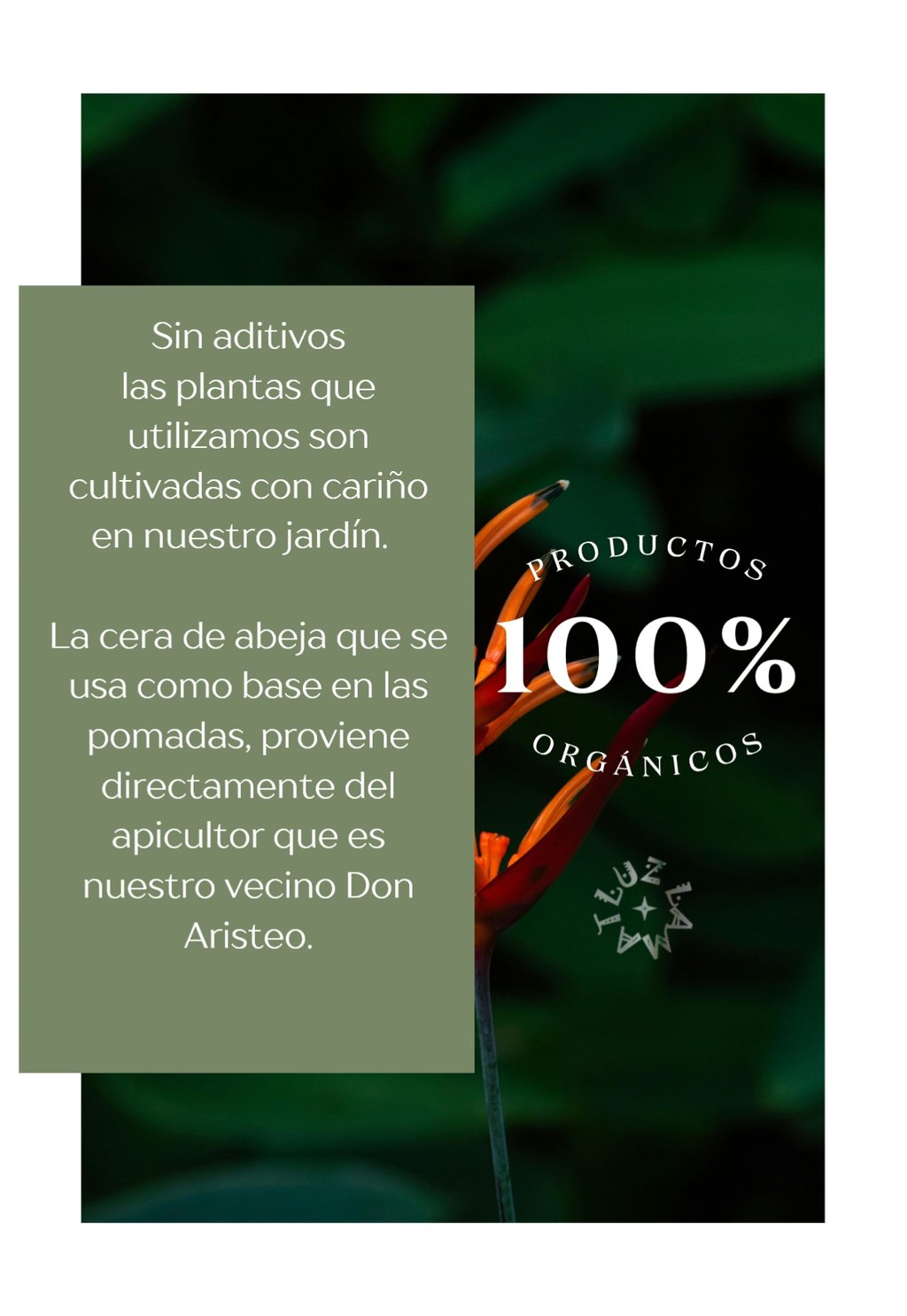 catalogo productos y medicinas naturales eventos luz comunidad maya