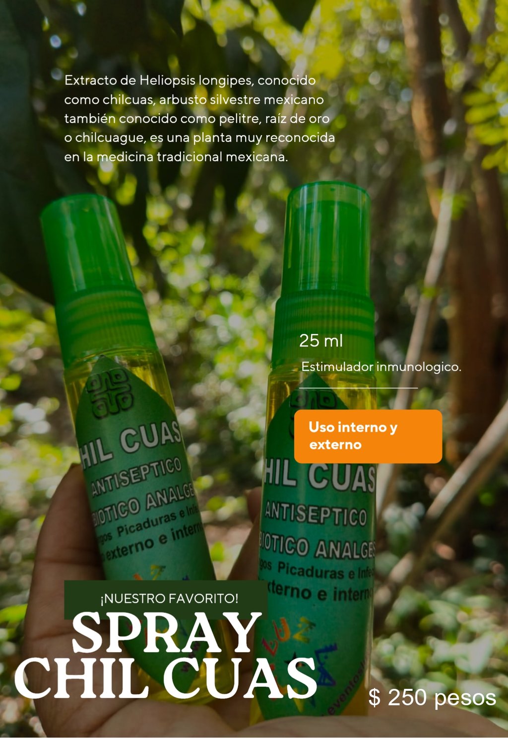 spray chil cuas raiz de oro catalogo productos y medicinas naturales eventos luz comunidad maya