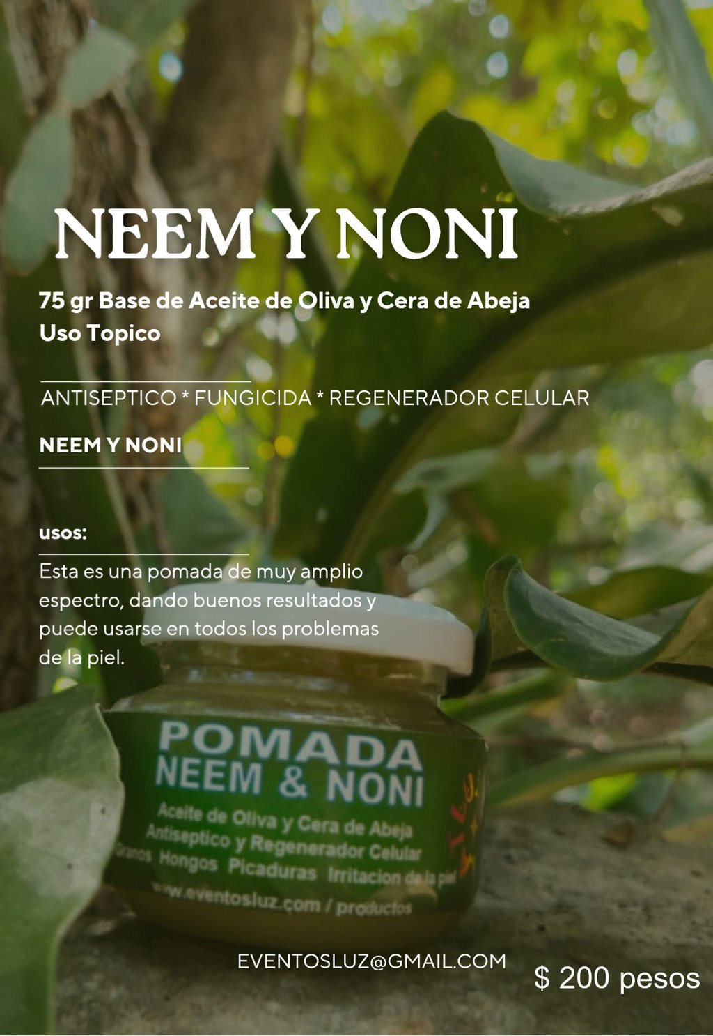 pomada de neem y noni catalogo productos y medicinas naturales eventos luz comunidad maya