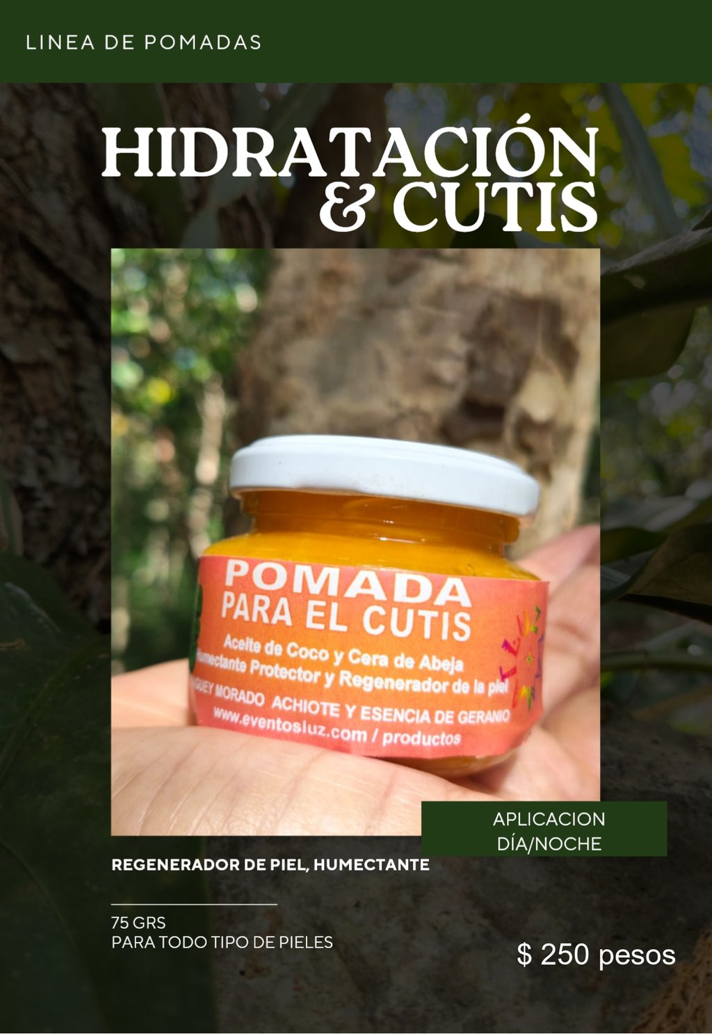 pomada para el cutis regenerador de piel humectante catalogo productos y medicinas naturales eventos luz comunidad maya
