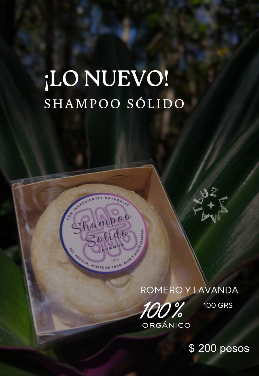 shampoo champu solido catalogo productos y medicinas naturales eventos luz comunidad maya