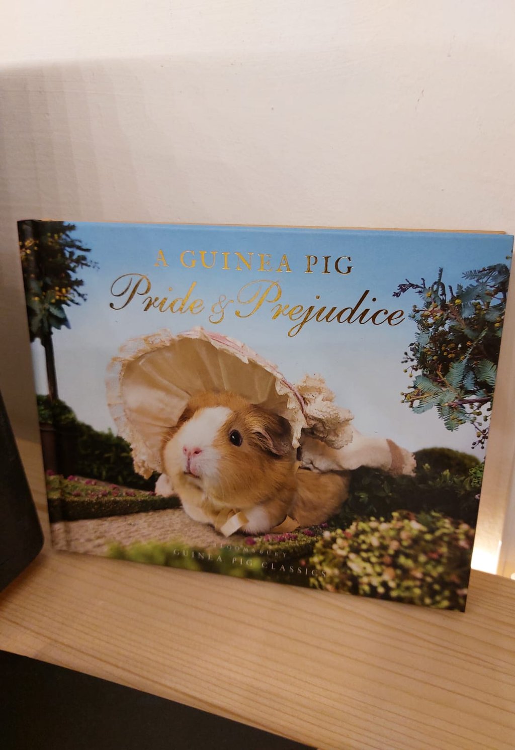 Buch bei Hundt Hammer Stein