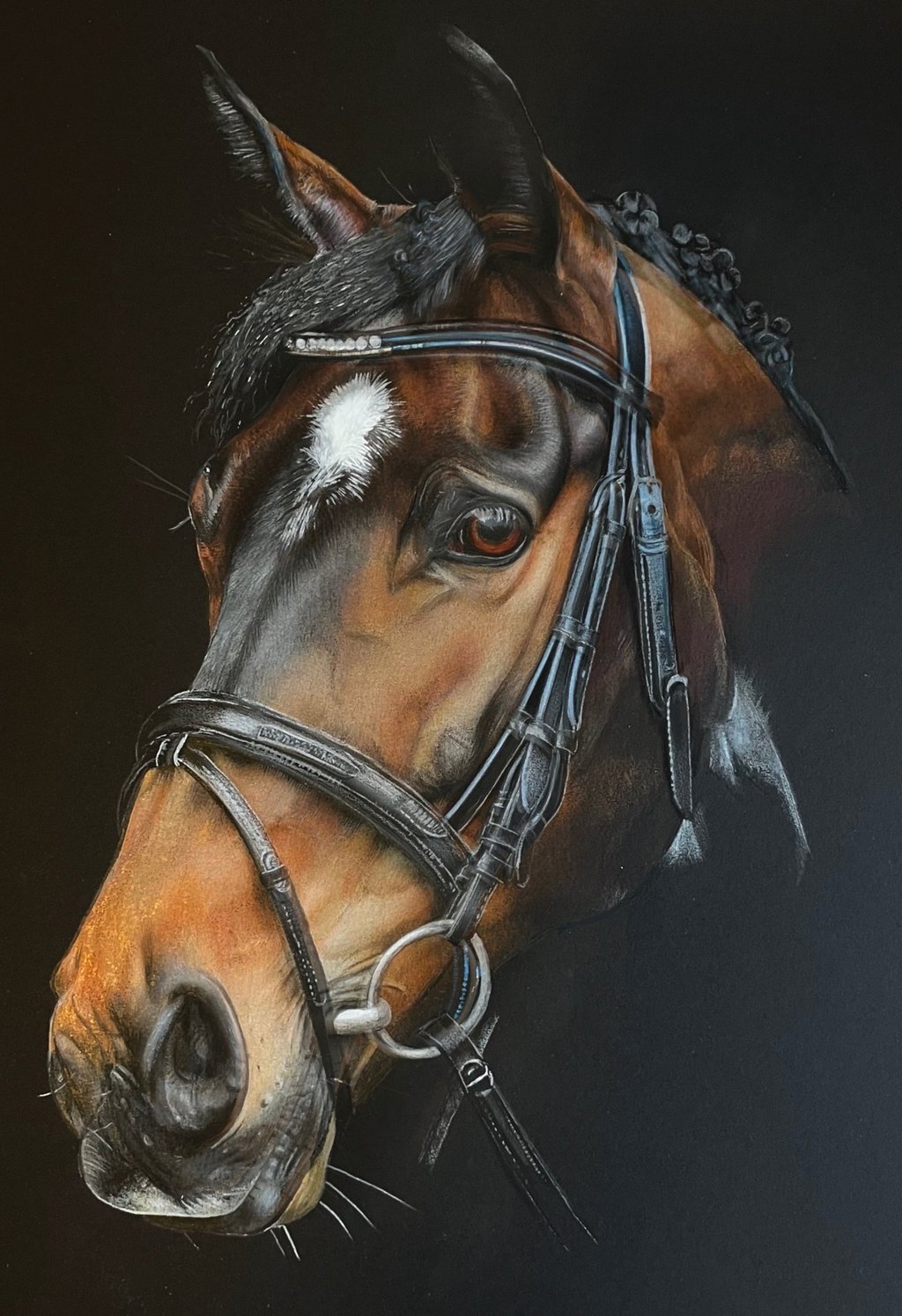 horse, show, tack, show tack, equestrian art horse portrait, 