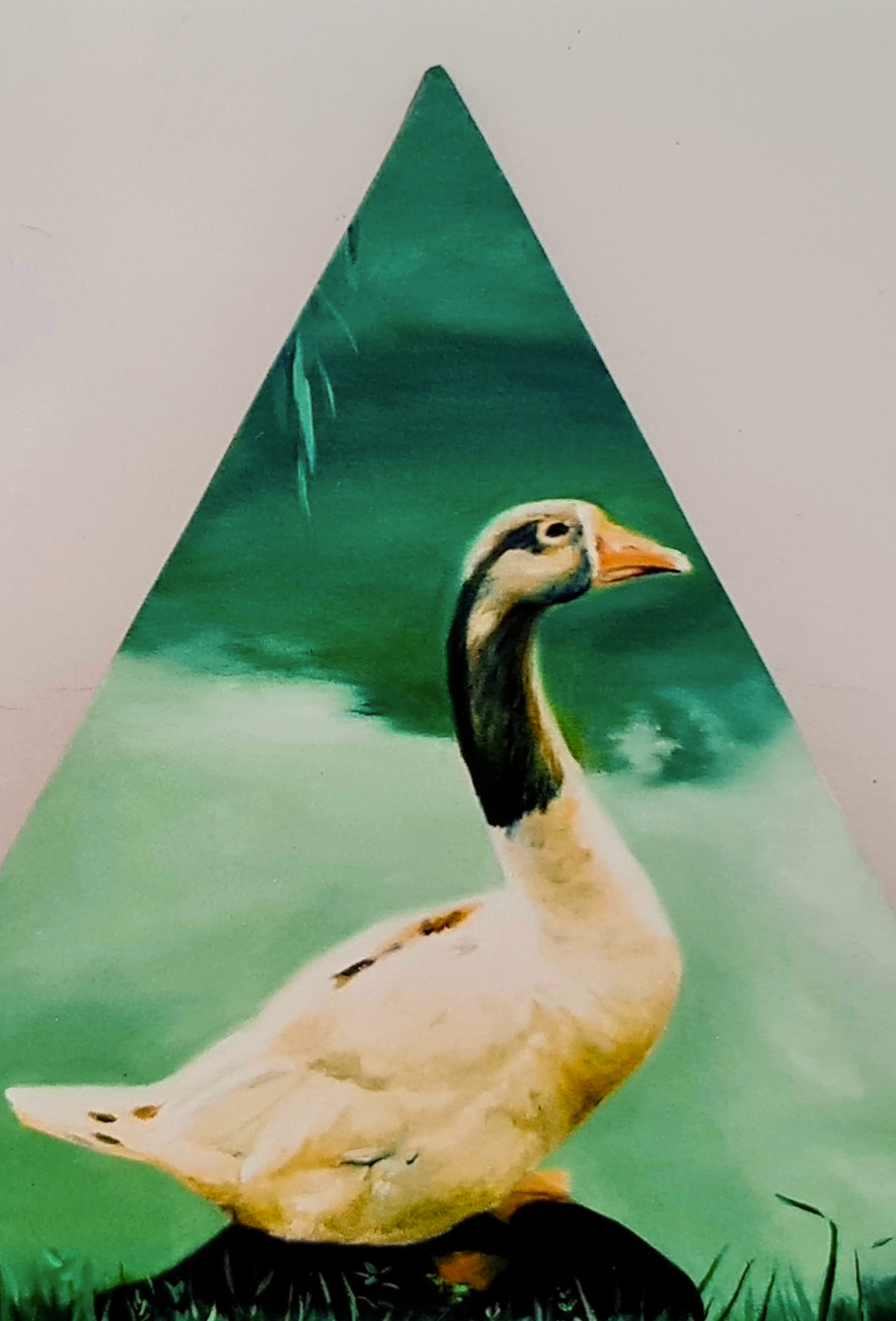 Oil - duck of the Ibirapuera Park.