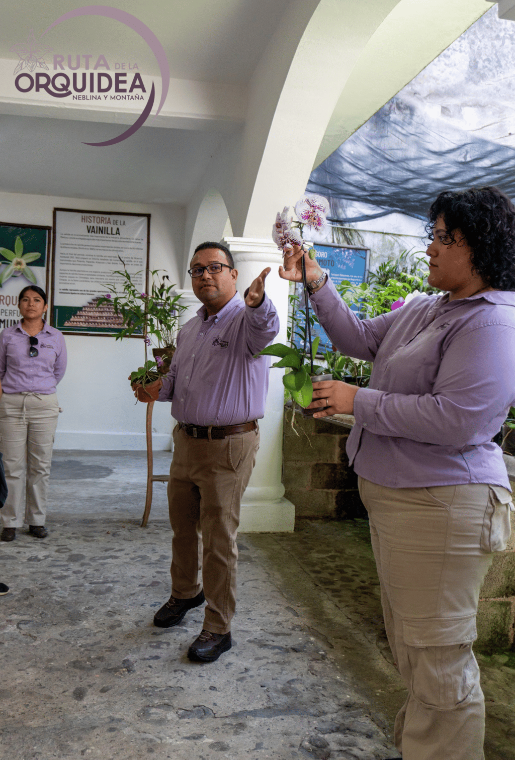 explicacion en el museo de la orquidea en coatepec la ruta de la orquidea