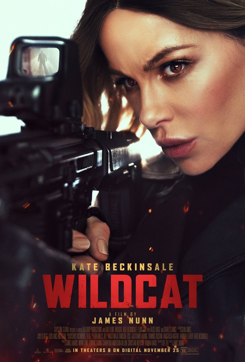 Wildcat 