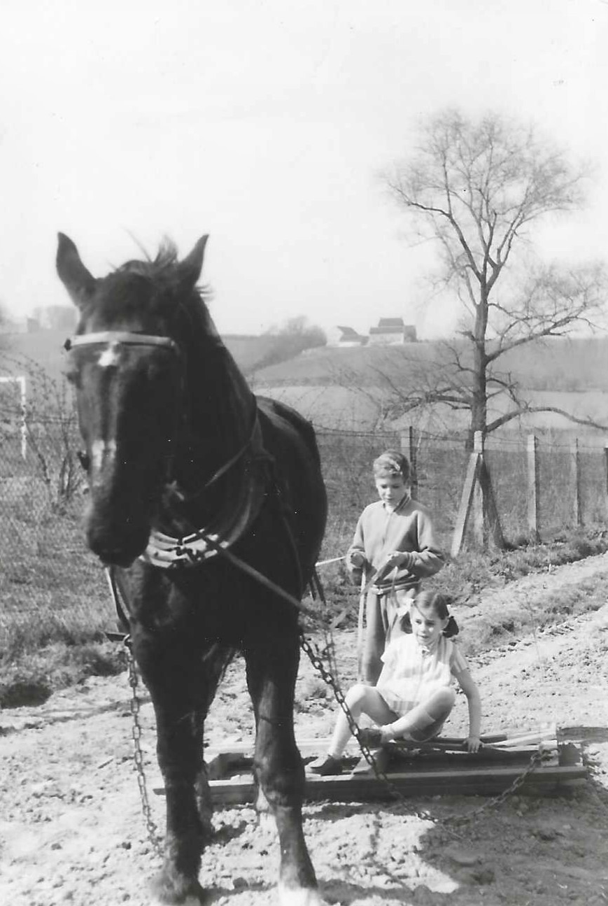 Oude foto van twee kinderen die met een paard een ploegmachine over het land bedienen bij Hoeve Dinjens in Maastricht.
