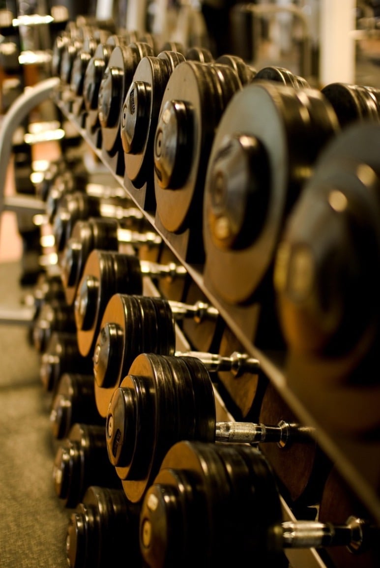 a row of dumb dumbblebells in a gym