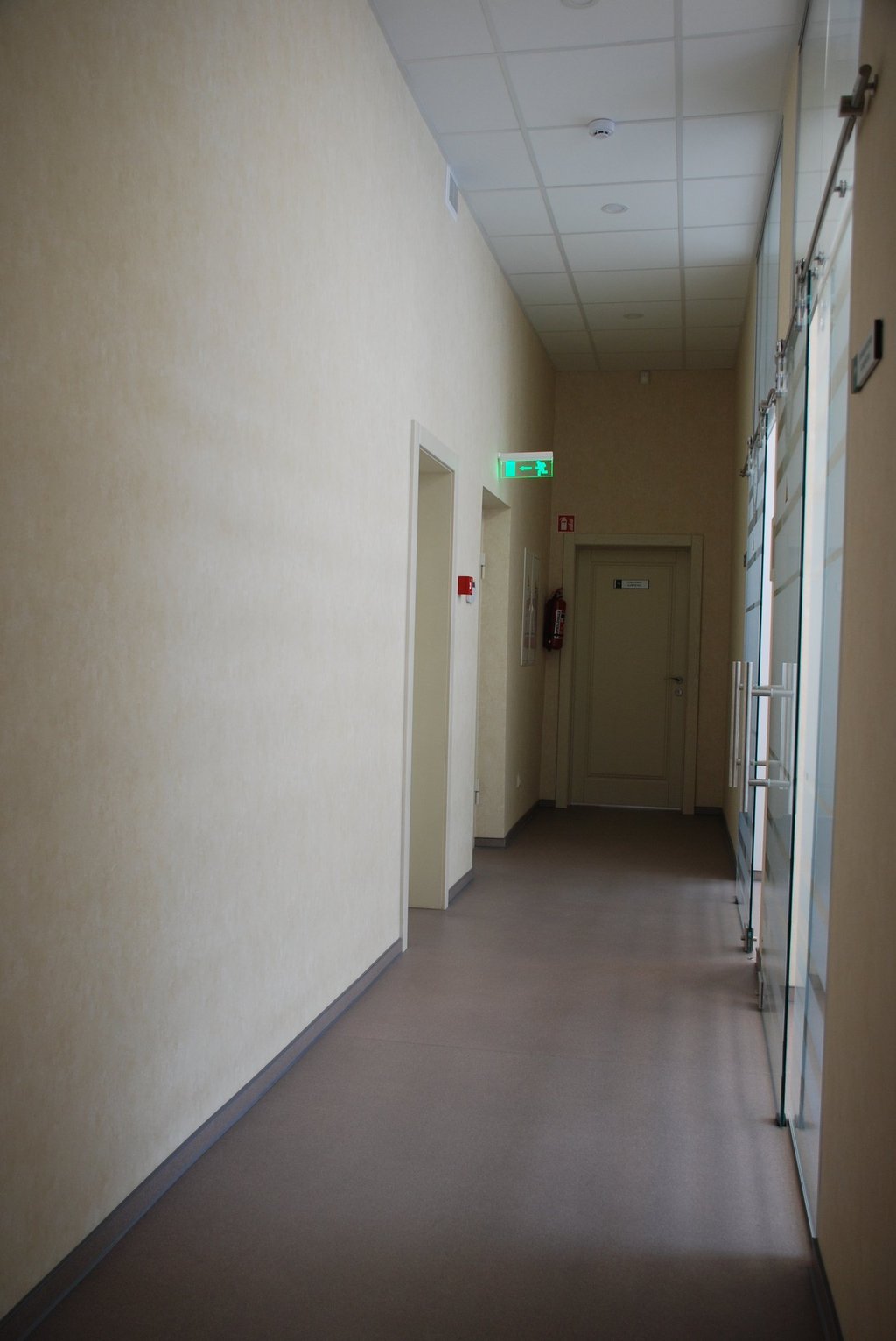 apdaila odontologiniu