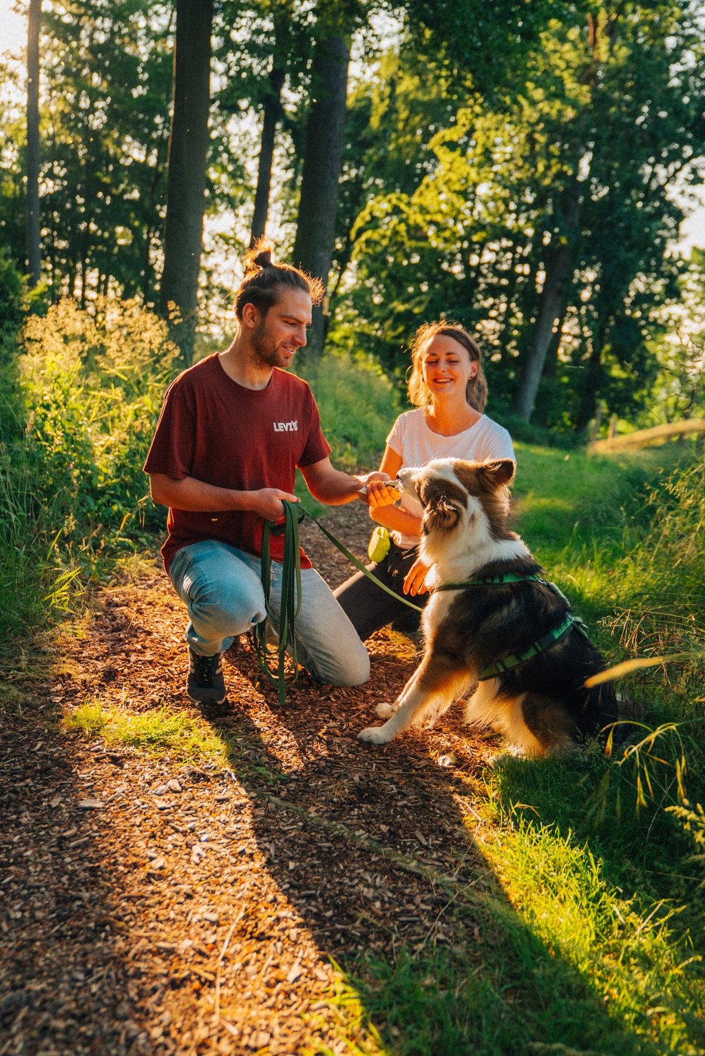 Achtsames Coaching mit Hund im Wald – individuelle Begleitung bei Takoda
