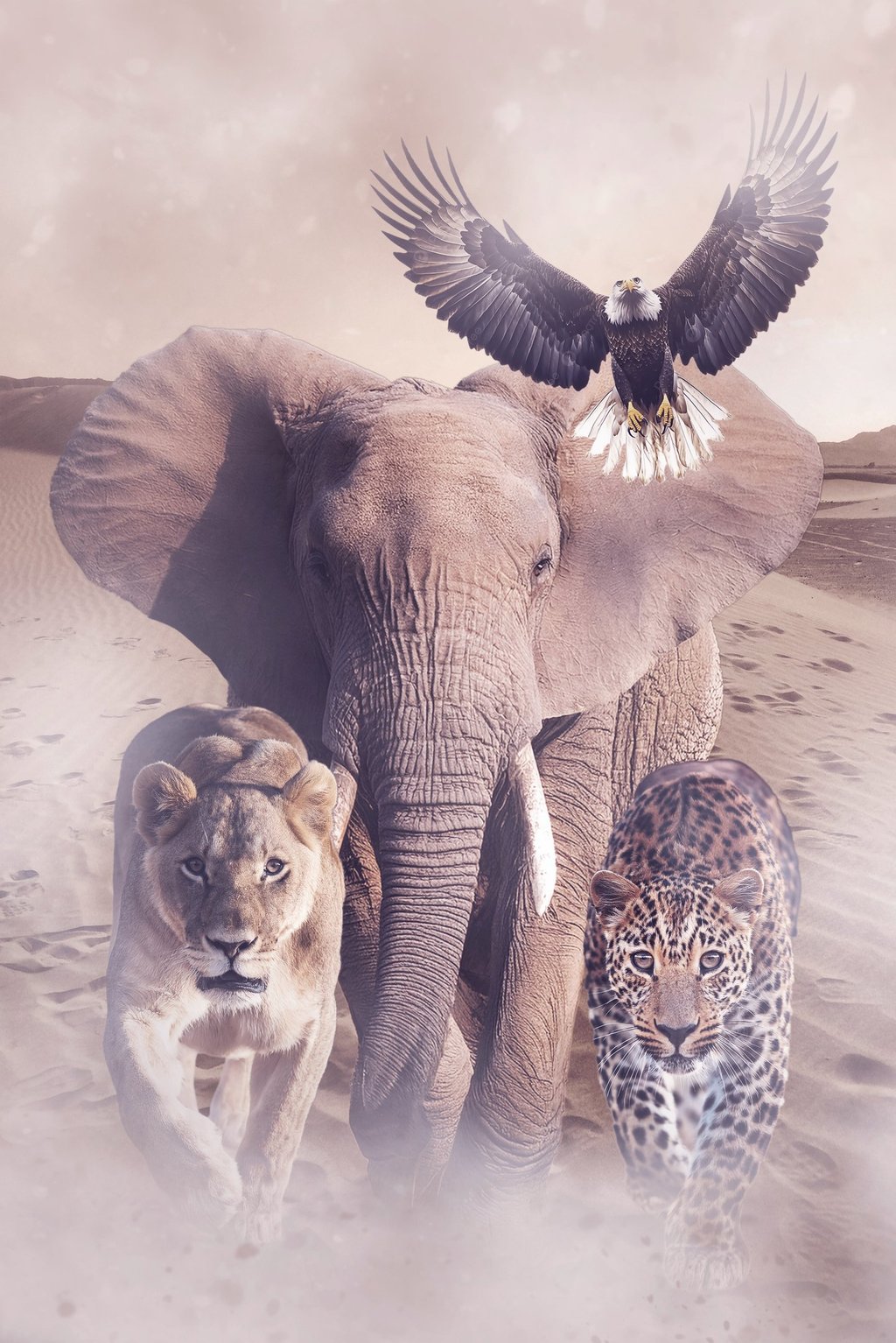 Majestic African wildlife featuring an elephant, lion, leopard, and bald eagle in a desert landscape.