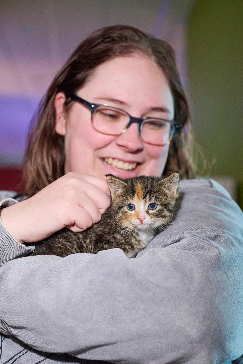 a woman in glasses and a gray sweater holding a kitten