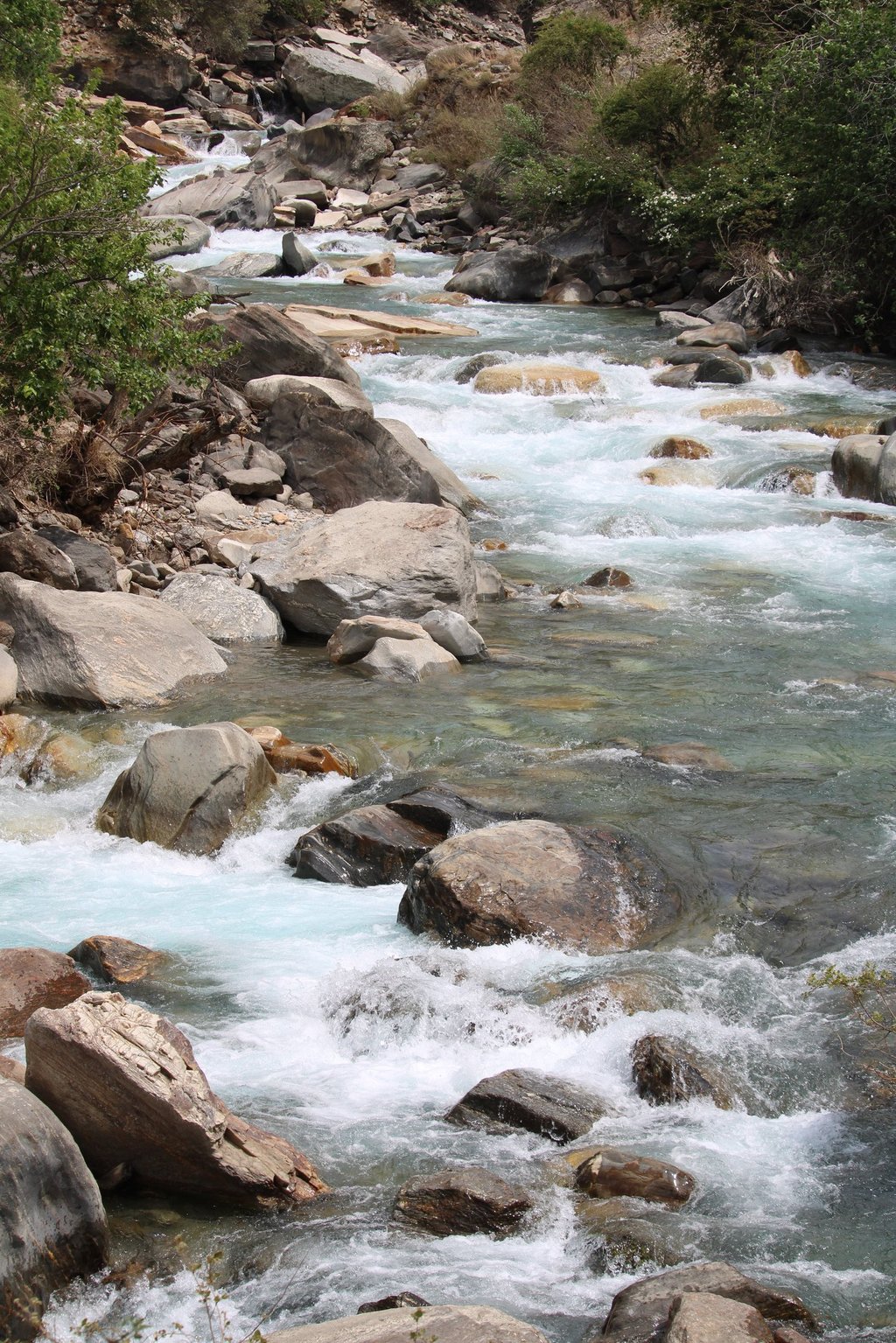 Rivière vers le lac Phoksundo