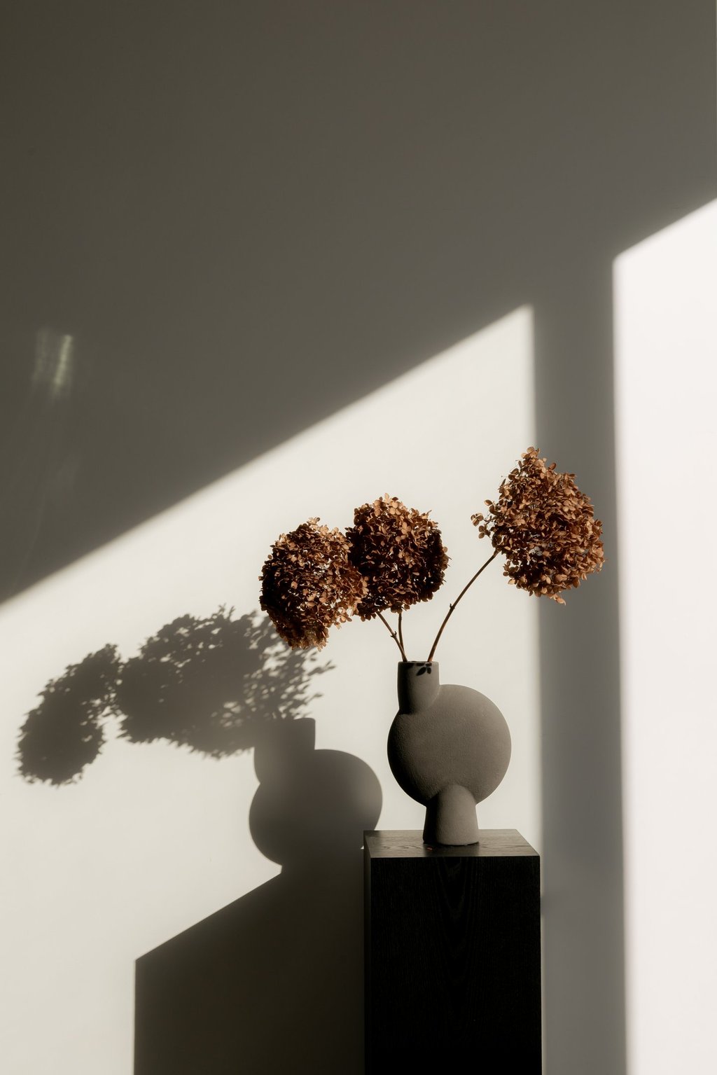 Dried brown hydrangea flowers in a modern ceramic vase on a black pedestal with sunlight and shadows.
