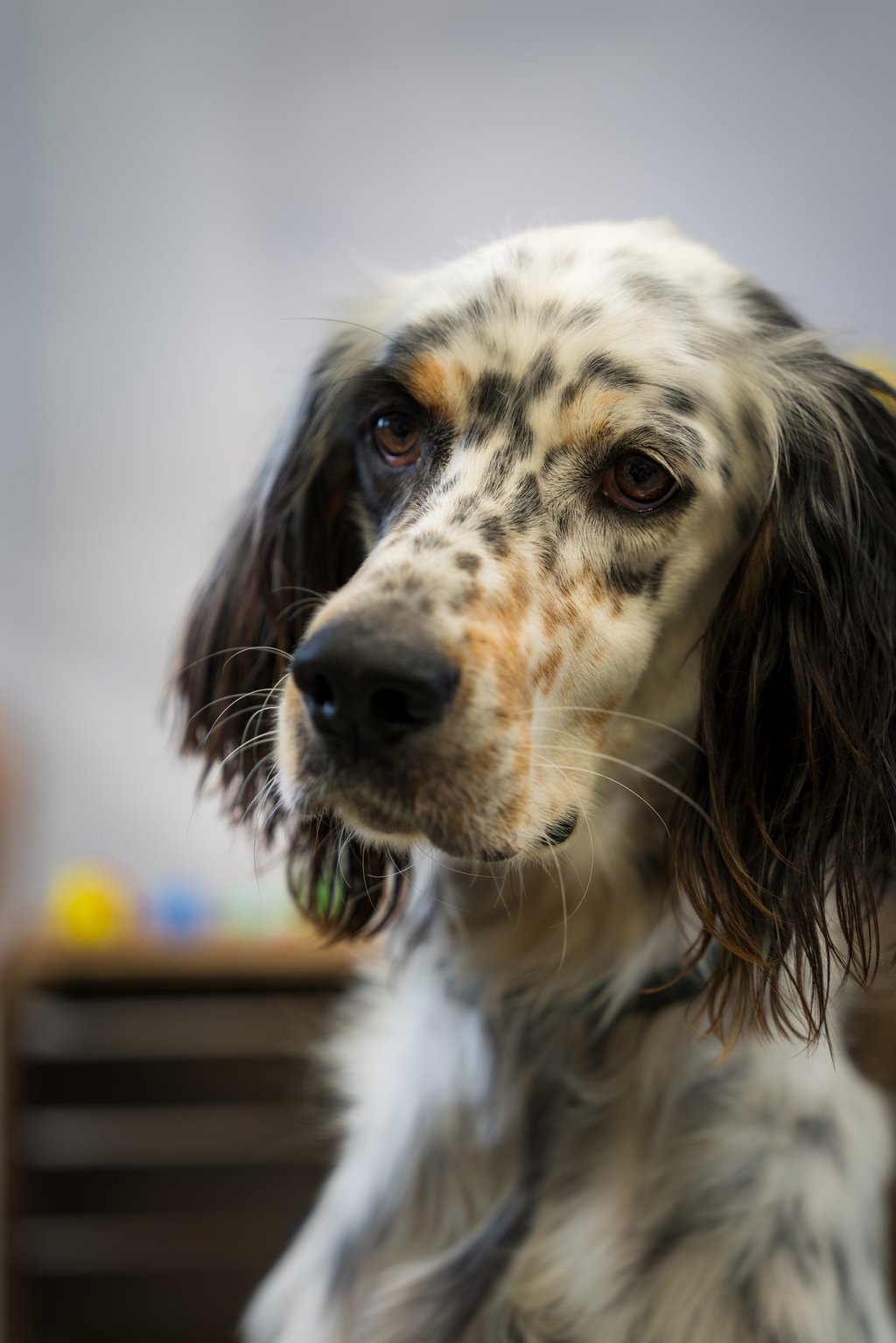 photographe professionnel Provence et vidéaste