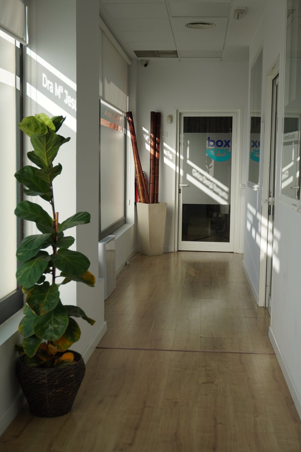 tipos de ortodoncia para niños sevilla