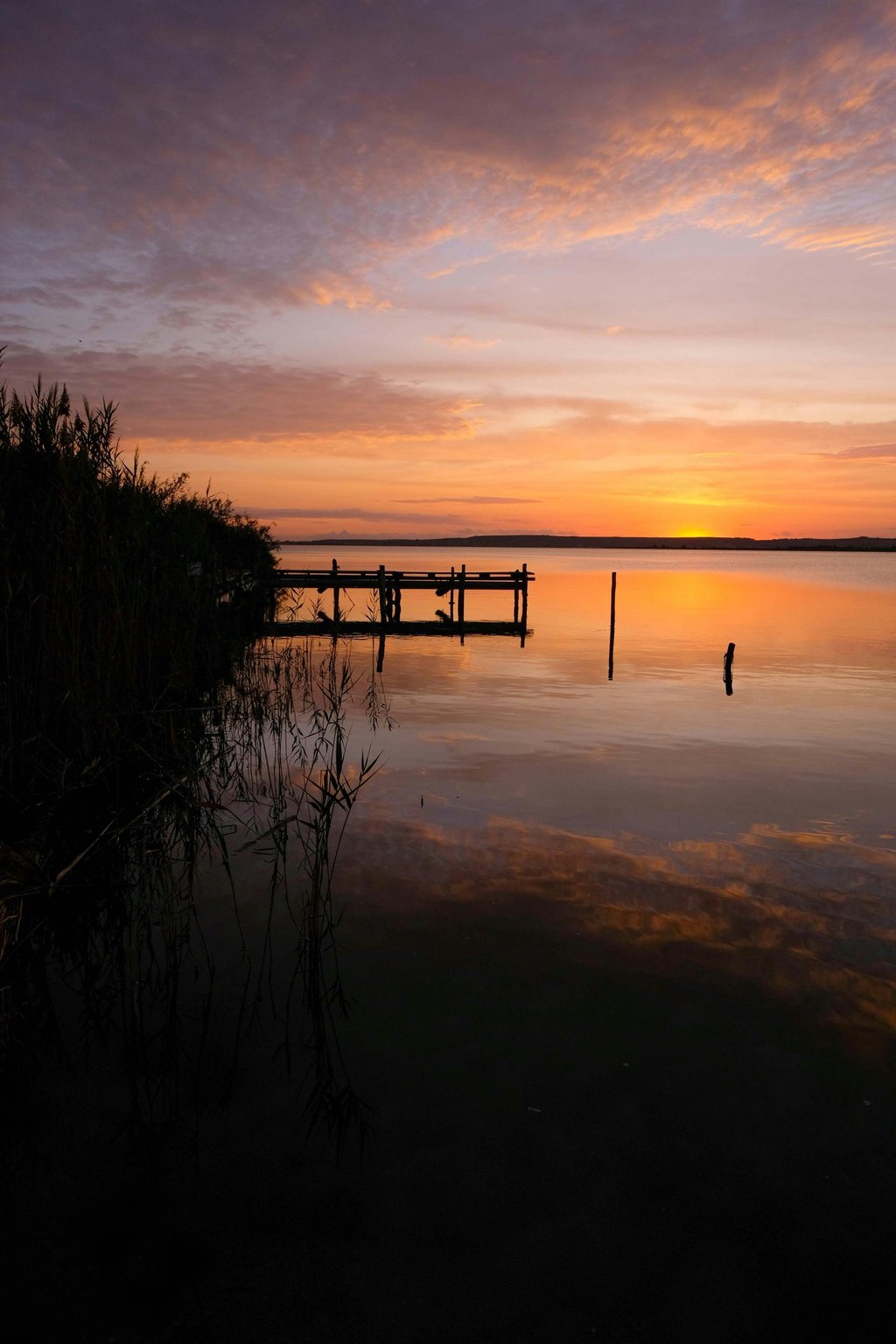 Cami Hoang – Soft Sunset Return | Home Rest & Rise Section