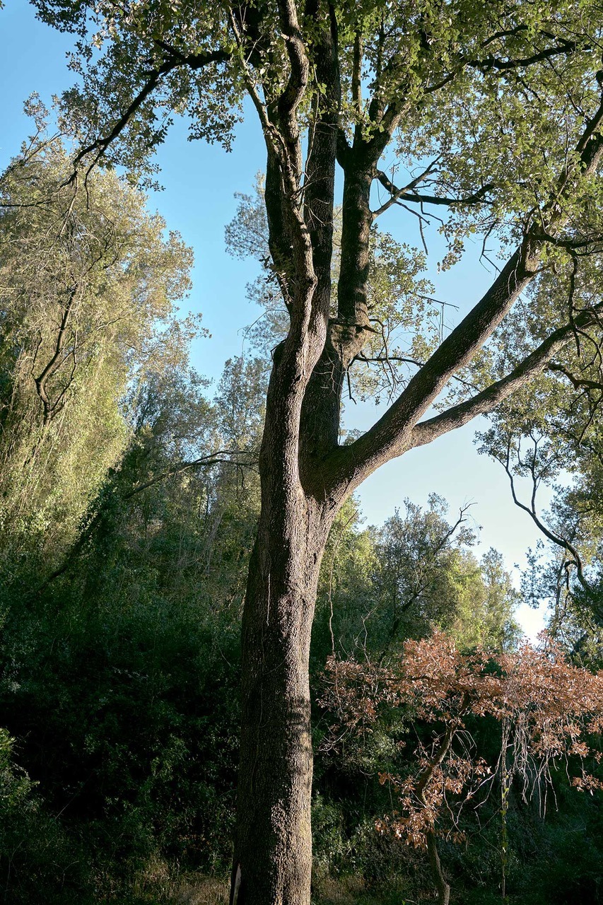 Proyecto fotográfico figurativo de Recuero que reflexiona sobre identidad y transexualidad.
