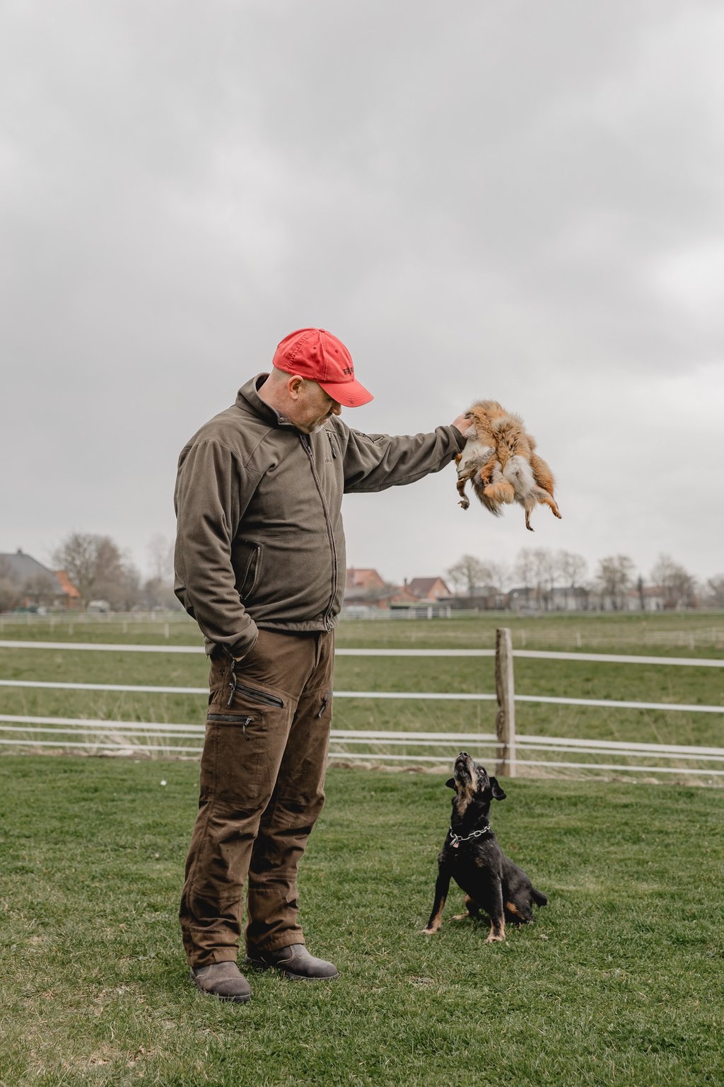 Jagdhund Ausbildung Bauarbeit