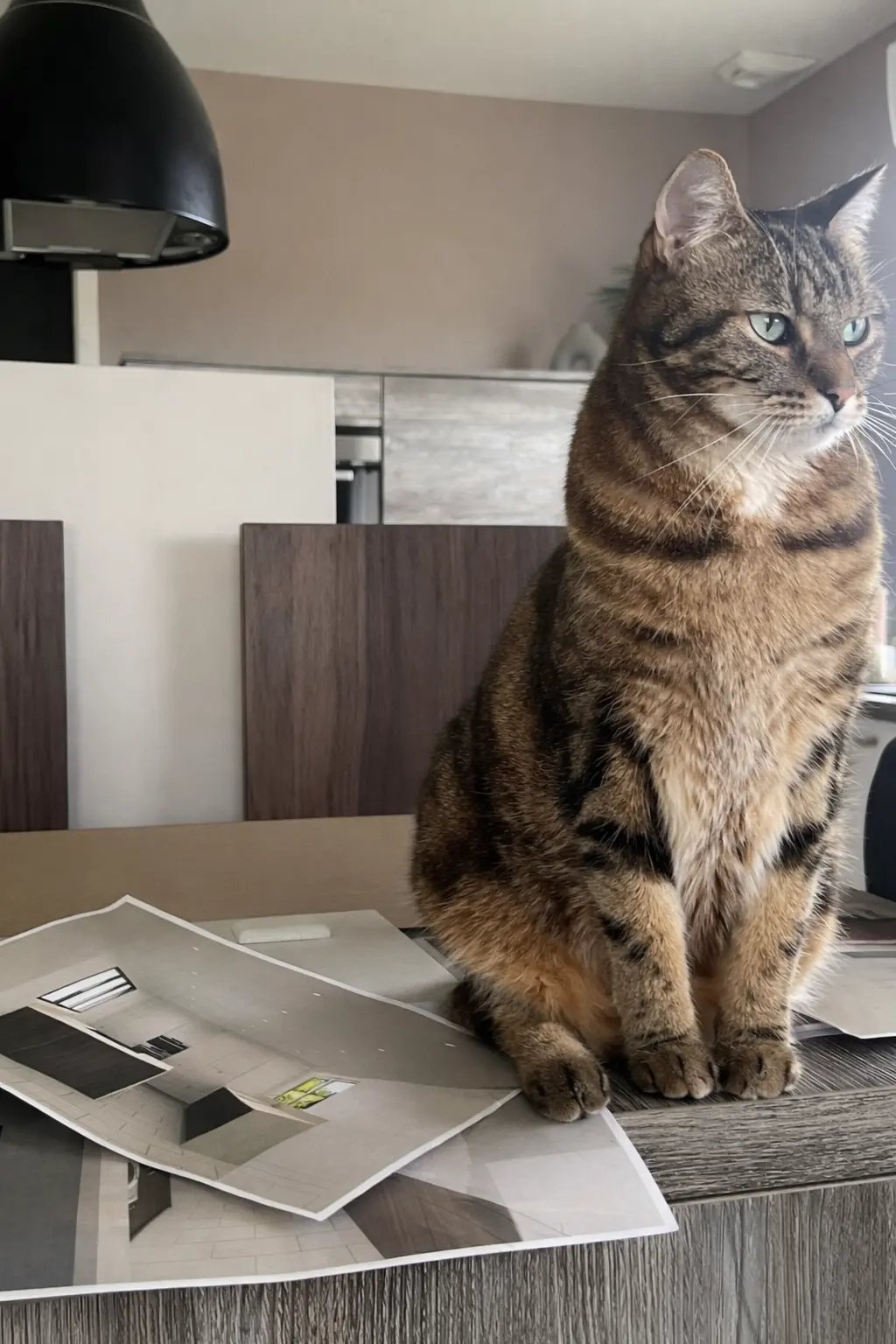 Cuisine sur mesure moderne avec îlot central réalisé par Baïa Home à Tourville-sur-Odon près de Cae