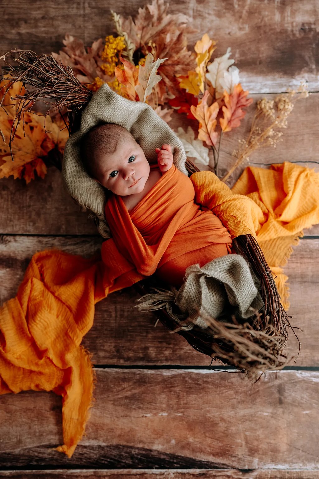 un bébé dans un panier en automne