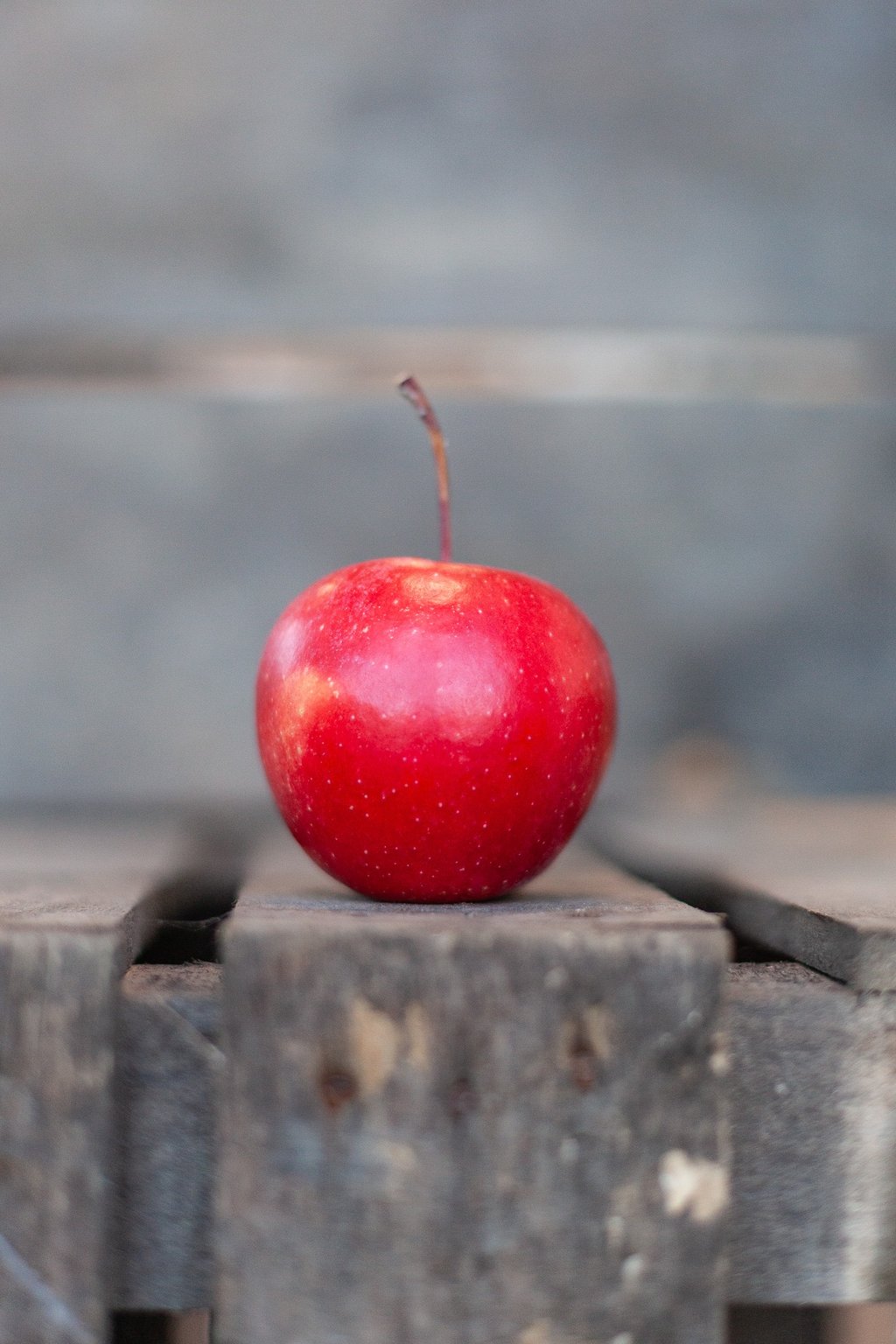 Pomme Tonik bio cultivée dans notre verger familial en Savoie, croquante et savoureuse
