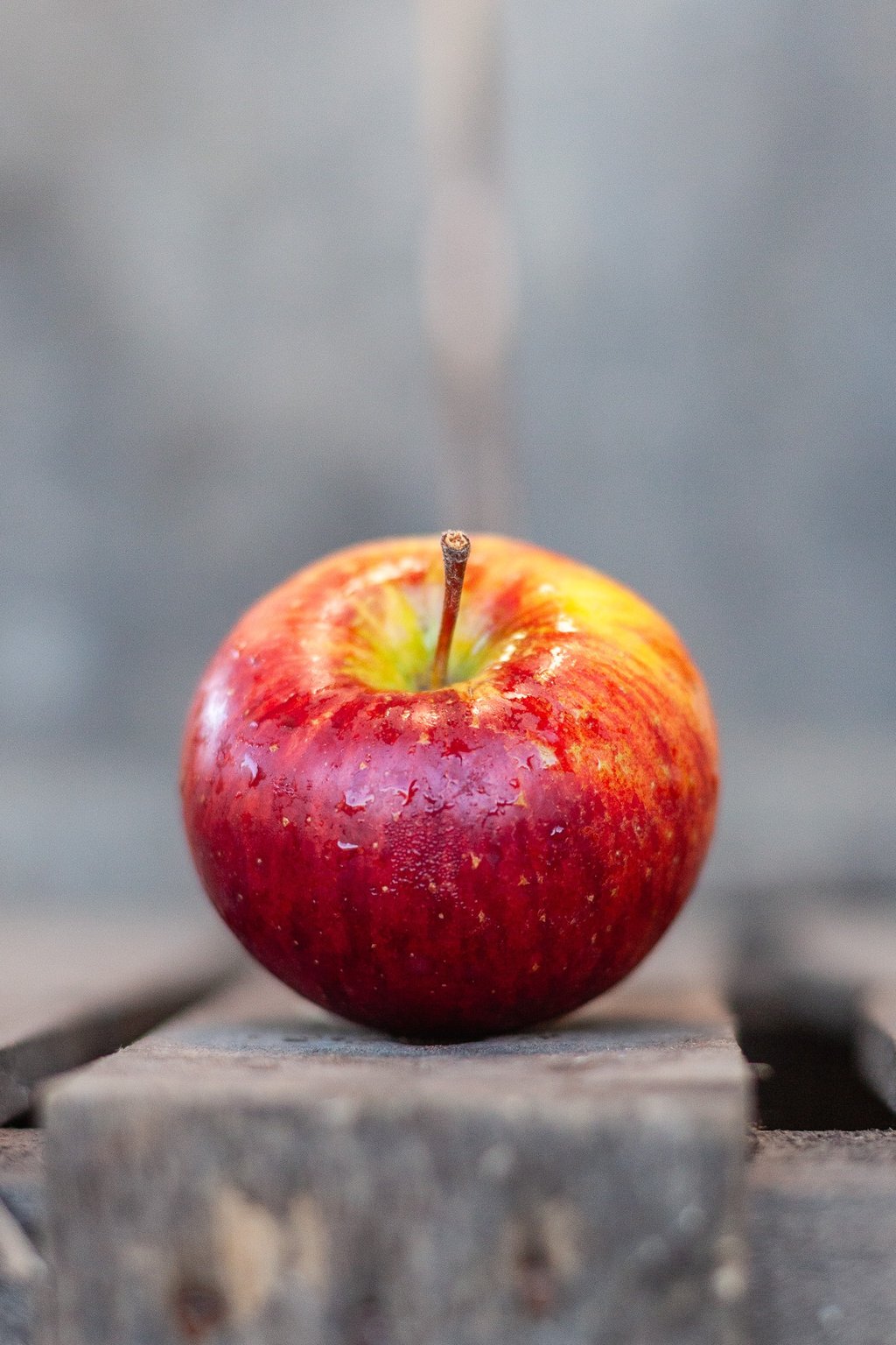 Pomme Topaz bio cultivée dans notre verger familial en Savoie