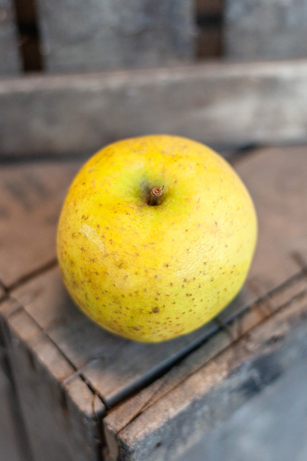 Pomme Chanteclerc bio cultivée en agriculture biologique en Savoie