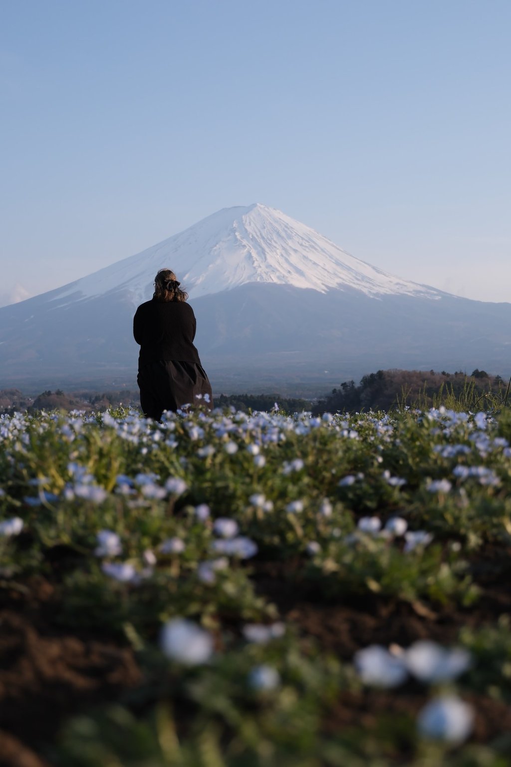 Foto mía de espaldas con el Monte Fuji de fondo