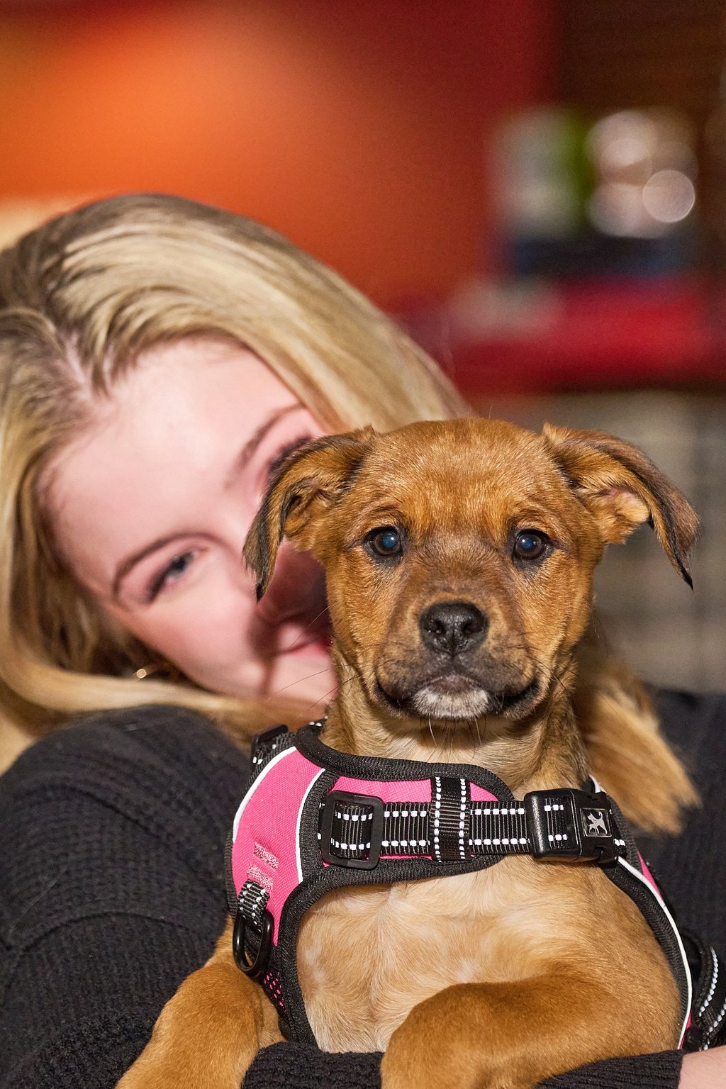 a woman in a black sweater holding a puppy in her arm